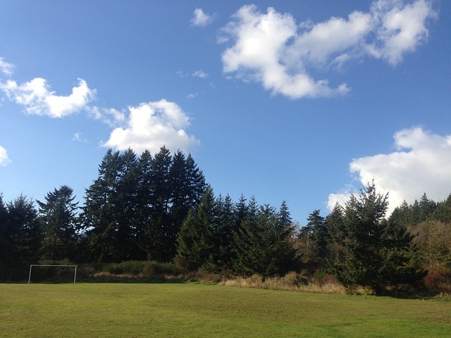 赛场上屡屡